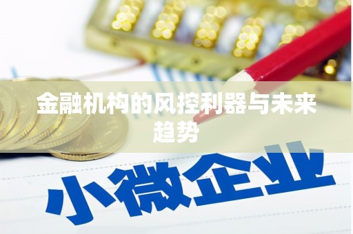 琼山金融机构的风控利器与未来趋势