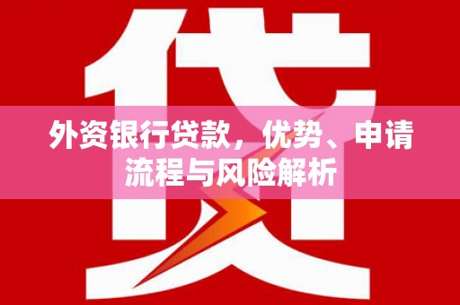 琼山外资银行贷款，优势、申请流程与风险解析