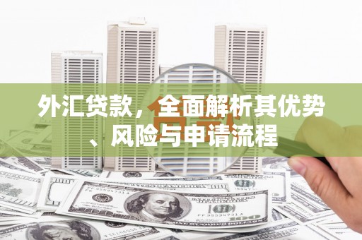 琼山外汇贷款，全面解析其优势、风险与申请流程