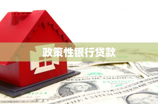 琼山政策性银行贷款