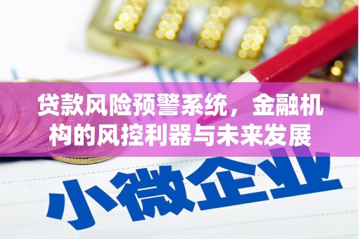 琼山贷款风险预警系统，金融机构的风控利器与未来发展