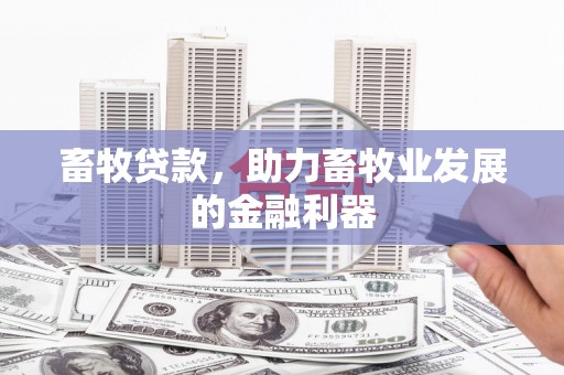 琼山畜牧贷款，助力畜牧业发展的金融利器