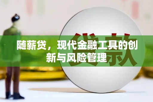 琼山随薪贷，现代金融工具的创新与风险管理