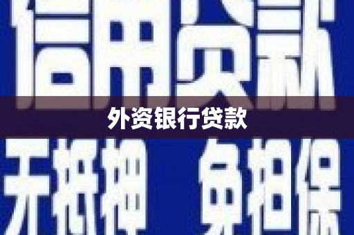 琼山外资银行贷款