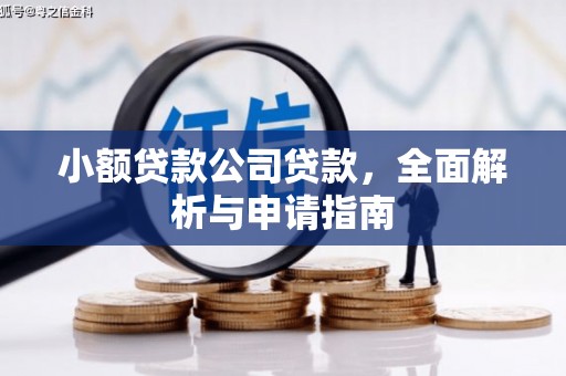 琼山小额贷款公司贷款，全面解析与申请指南