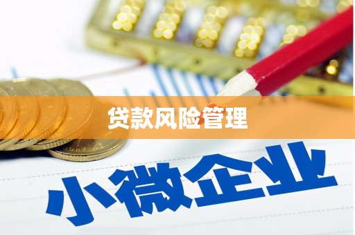 琼山贷款风险管理