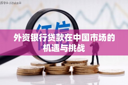 琼山外资银行贷款在中国市场的机遇与挑战