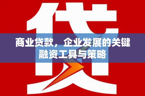 琼山商业贷款，企业发展的关键融资工具与策略