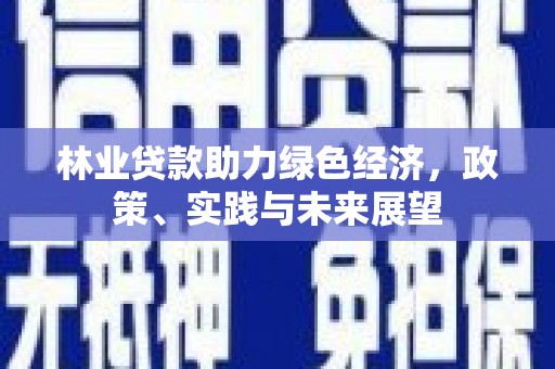 琼山林业贷款助力绿色经济，政策、实践与未来展望