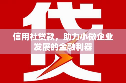 琼山信用社贷款，助力小微企业发展的金融利器