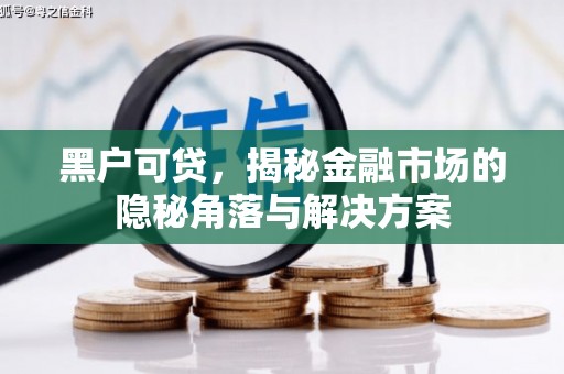 琼山黑户可贷，揭秘金融市场的隐秘角落与解决方案