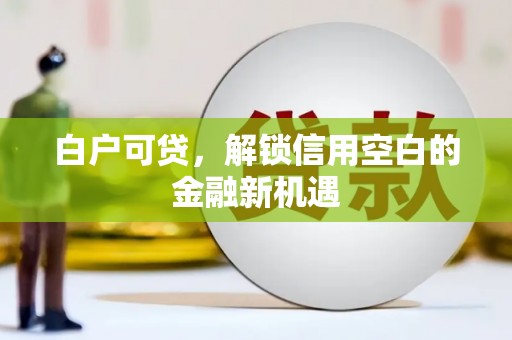 琼山白户可贷，解锁信用空白的金融新机遇