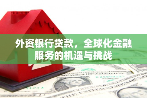 琼山外资银行贷款，全球化金融服务的机遇与挑战