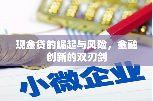 琼山现金贷的崛起与风险，金融创新的双刃剑