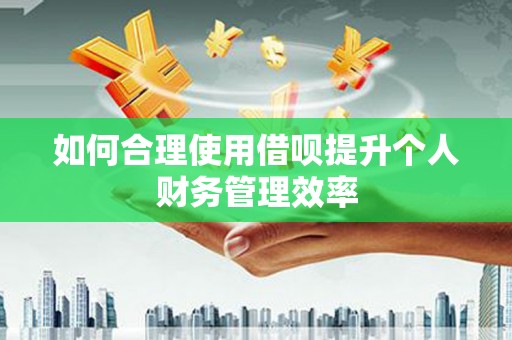 琼山如何合理使用借呗提升个人财务管理效率