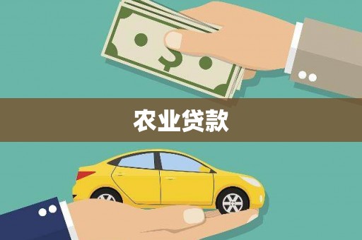 琼山农业贷款