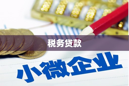 琼山税务贷款