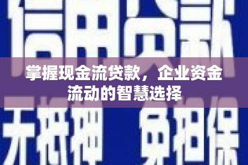 琼山掌握现金流贷款，企业资金流动的智慧选择