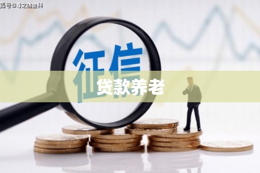 琼山贷款养老
