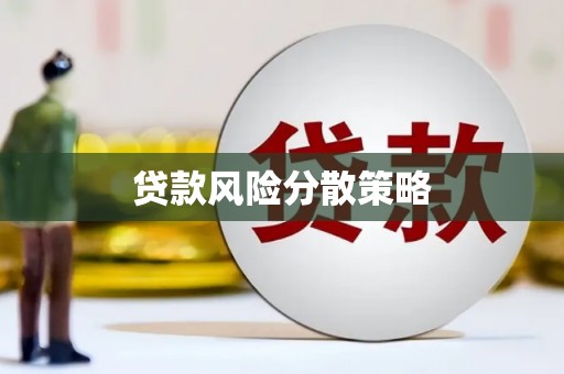 琼山贷款风险分散策略