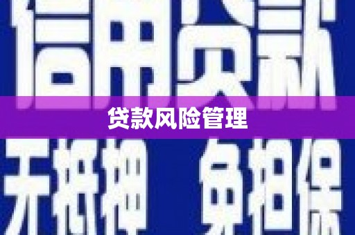 琼山贷款风险管理