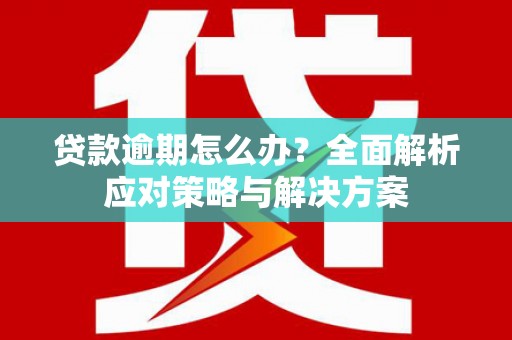 琼山贷款逾期怎么办？全面解析应对策略与解决方案