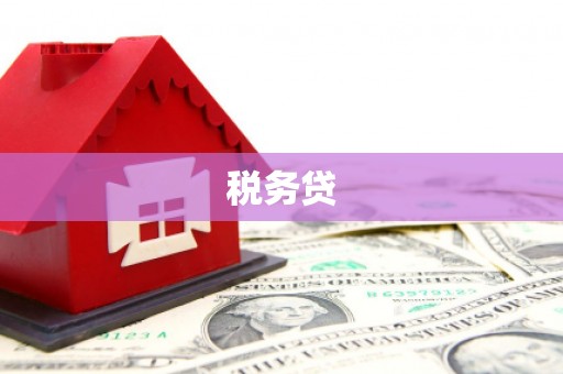 琼山税务贷