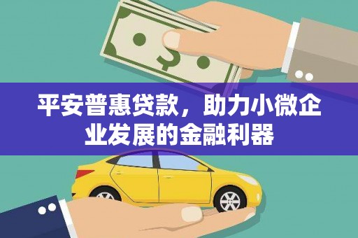 琼山平安普惠贷款，助力小微企业发展的金融利器