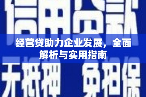 琼山经营贷助力企业发展，全面解析与实用指南