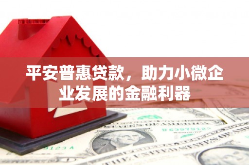琼山平安普惠贷款，助力小微企业发展的金融利器