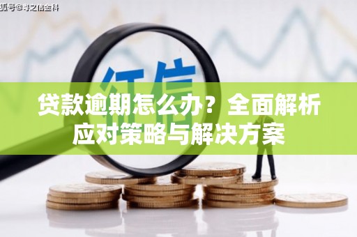 琼山贷款逾期怎么办？全面解析应对策略与解决方案