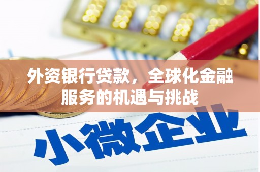 琼山外资银行贷款，全球化金融服务的机遇与挑战