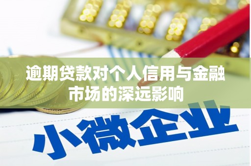琼山逾期贷款对个人信用与金融市场的深远影响