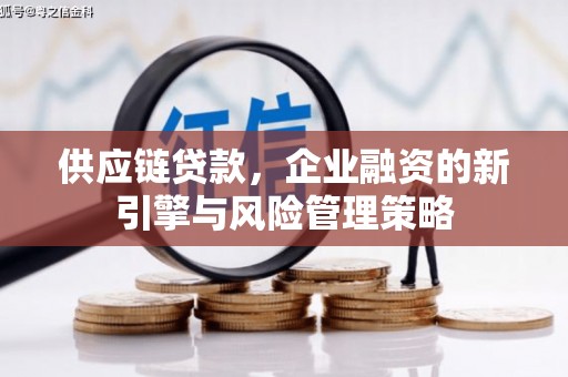 琼山供应链贷款，企业融资的新引擎与风险管理策略