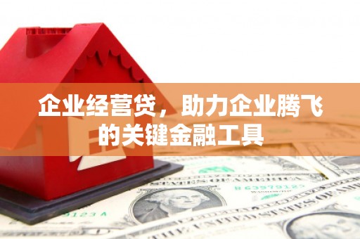 琼山企业经营贷，助力企业腾飞的关键金融工具