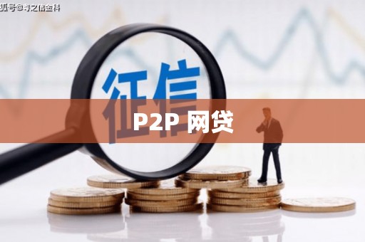 琼山P2P 网贷