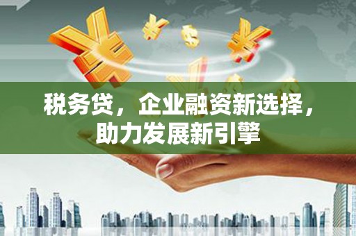 琼山税务贷，企业融资新选择，助力发展新引擎