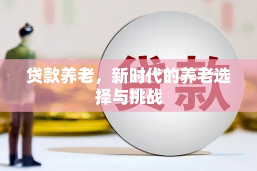 琼山贷款养老，新时代的养老选择与挑战