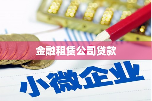 琼山金融租赁公司贷款