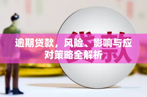 琼山逾期贷款，风险、影响与应对策略全解析