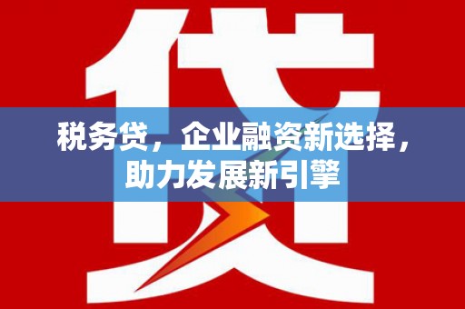 琼山税务贷，企业融资新选择，助力发展新引擎