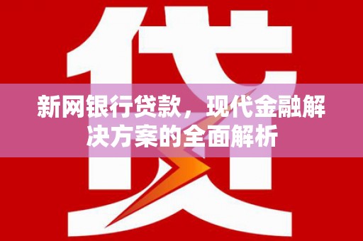 琼山新网银行贷款，现代金融解决方案的全面解析