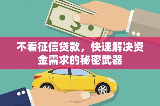 琼山不看征信贷款，快速解决资金需求的秘密武器