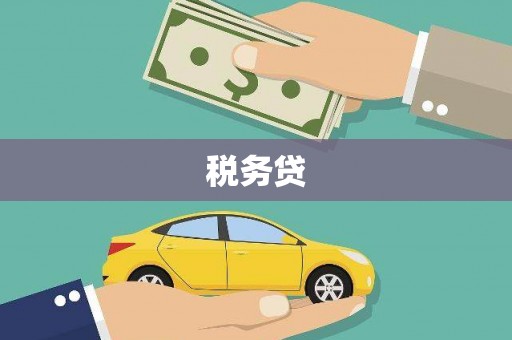 琼山税务贷