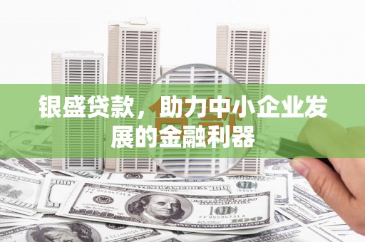 琼山银盛贷款，助力中小企业发展的金融利器