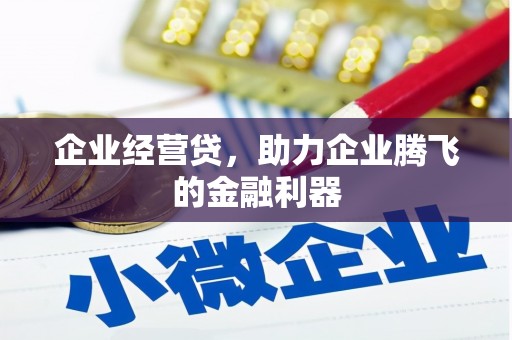 琼山企业经营贷，助力企业腾飞的金融利器