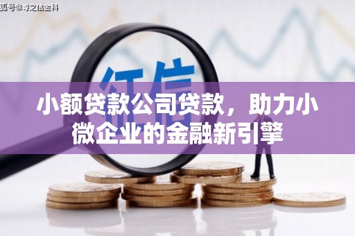 琼山小额贷款公司贷款，助力小微企业的金融新引擎