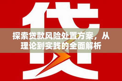 琼山探索贷款风险处置方案，从理论到实践的全面解析