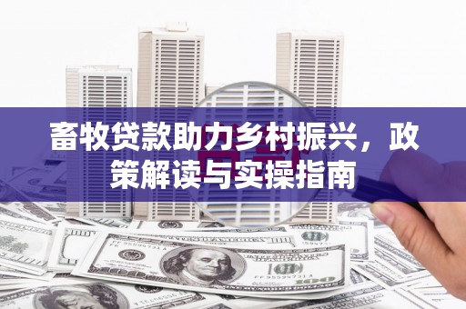 琼山畜牧贷款助力乡村振兴，政策解读与实操指南