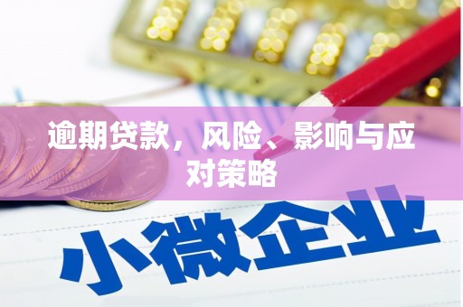 琼山逾期贷款，风险、影响与应对策略
